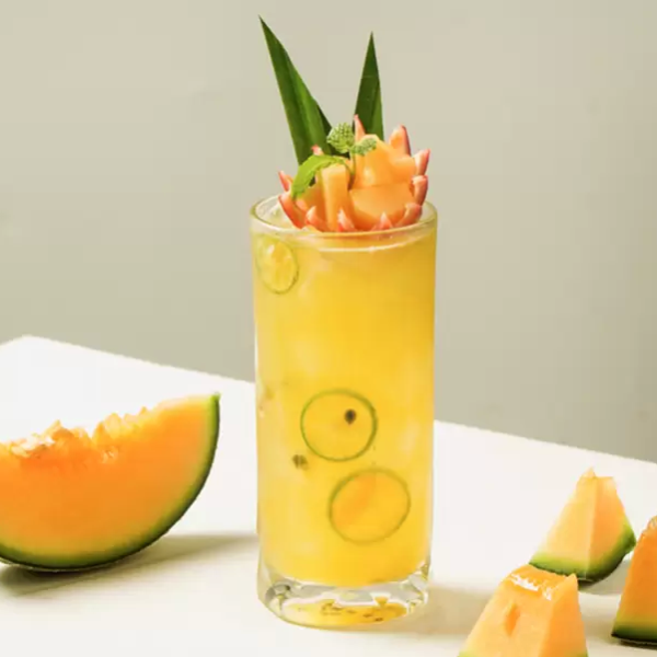 kombucha-chanh-day
